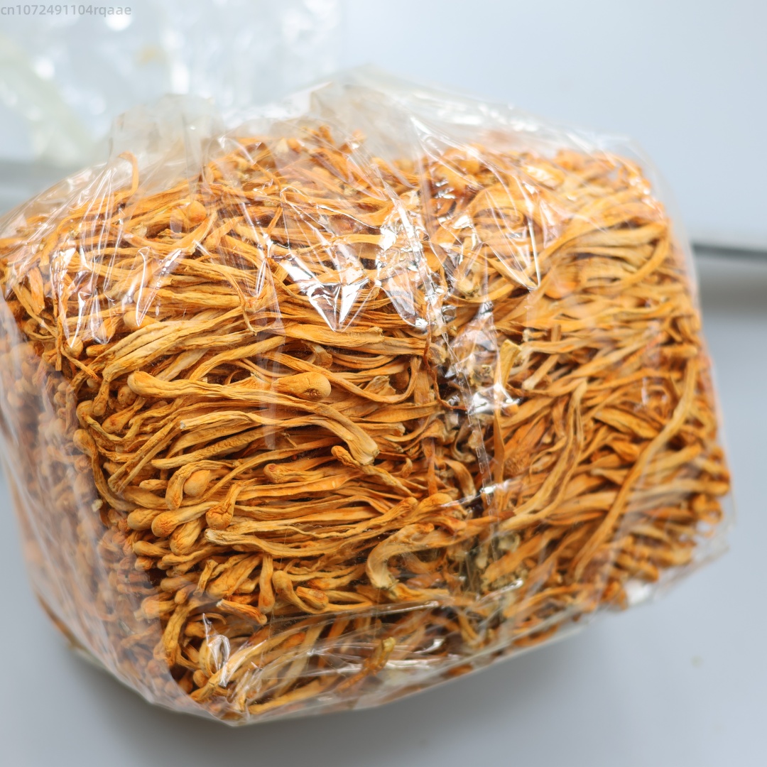 250g/500g Premium Natural Drie - đánh giá và giá Soap Making Diy Kit